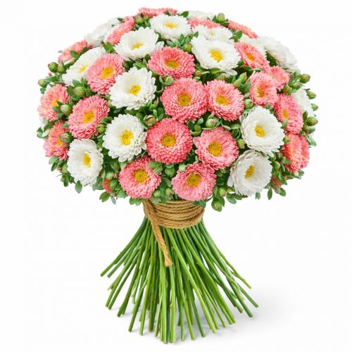 Астра микс 2