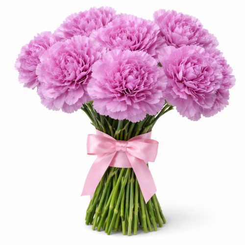 Диантус фиолетовый