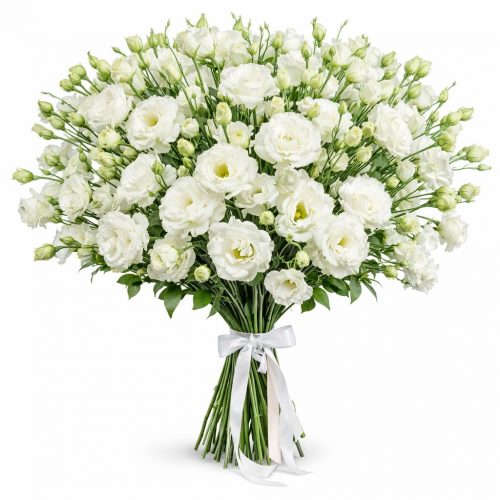 Эустома белая