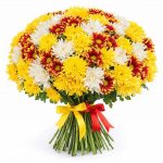 Хризантемы кустовые