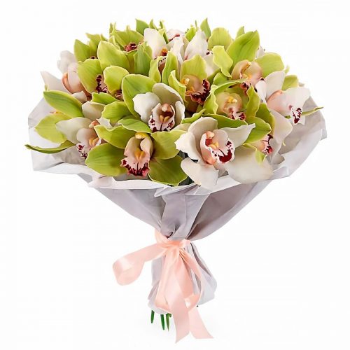 Орхидея зеленая