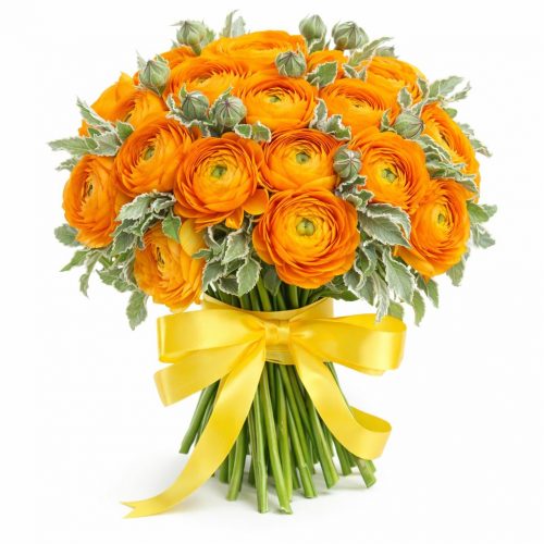 Ранункулюс оранжевый