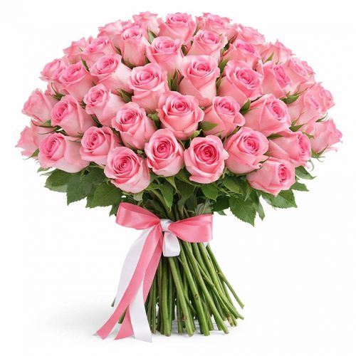 Розы Кения розовые